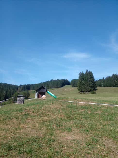 Alp Mountains Tour - Frequently Asked Questions