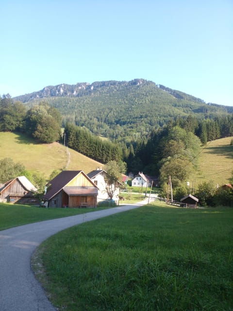 Alp Mountains Tour - Tour Highlights and Experience