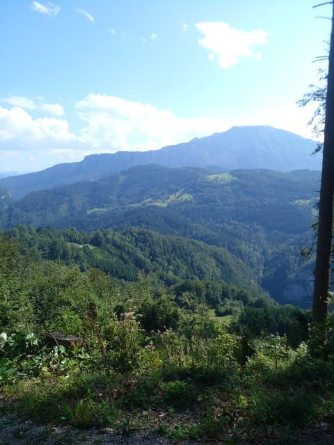 Alp Mountains Tour - Inclusions and Optional Extras