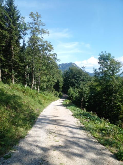 Alp Mountains Tour - Countries You Will Visit