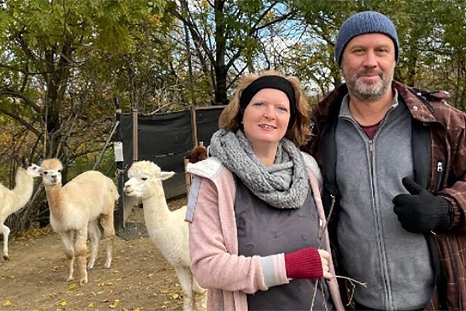 Alpaca and Llama Hike Moedling Near Vienna - Alpaca and Llama Interaction Details