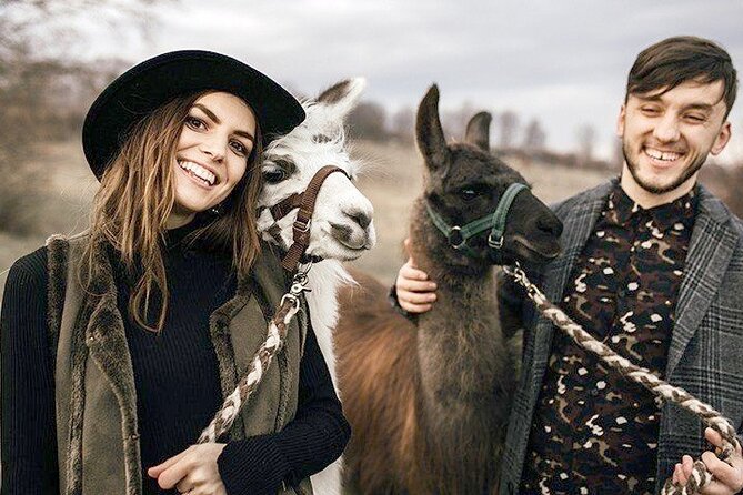 Alpaca and Llama Hike Moedling Near Vienna - Wool Products and Their Benefits