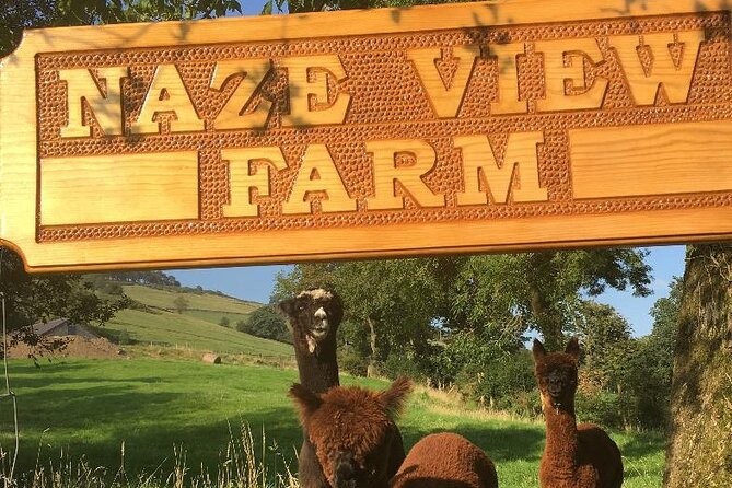 Alpaca Farm Private Tour in Tunstead Milton  - England - Additional Information