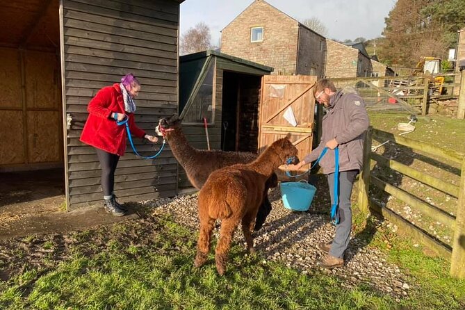 Alpaca Farm Private Tour in Tunstead Milton  - England - Directions