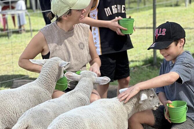 Alpaca Feeding with Wildlife and Nature Park Visit Private Tour - Who Will Love This Tour?