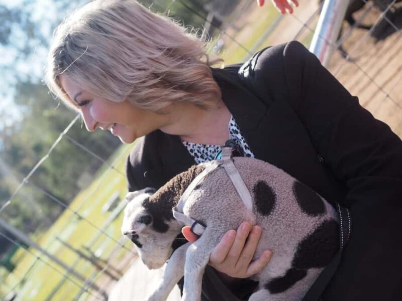 Alpaca Feeding with Wildlife Nature Park Visit Private Tour - Good To Know