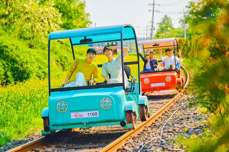 Alpaca+LEGOLAND+Nami Island+RailBike+Morning Calm Private Tour - The day at a glance