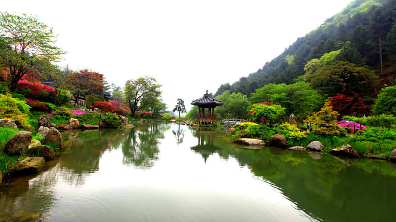 Alpaca+LEGOLAND+Nami Island+RailBike+Morning Calm Private Tour - Who will get the most from this tour