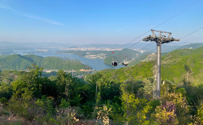 Alpaca+LEGOLAND+Nami Island+RailBike+Morning Calm Private Tour - Should you book this private day trip?