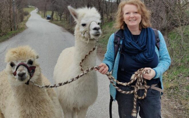 Alpaca & Llama Hike Mödling Vienna Austria - Exclusive Group - Important Information for Participants