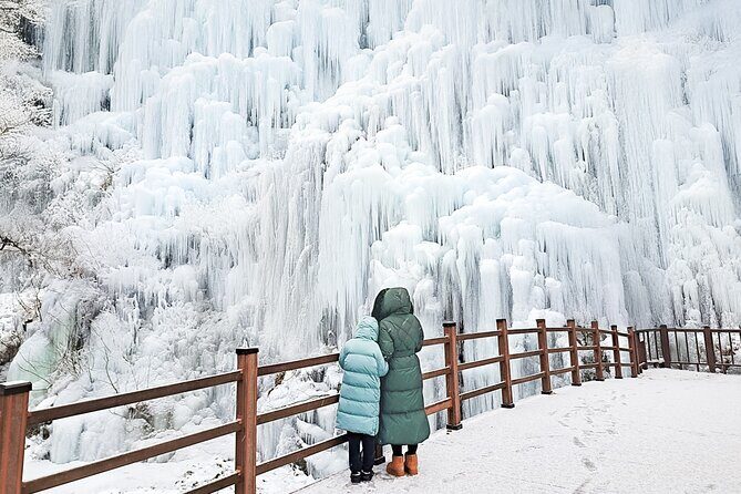 Alpaca, Nami, Eobi with Rail Bike or Strawberry - FAQs