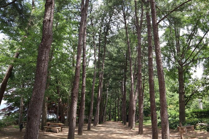 Alpaca, Nami, Petite Fr, Italian Village, Garden of Morning Calm - Alpaca Experience