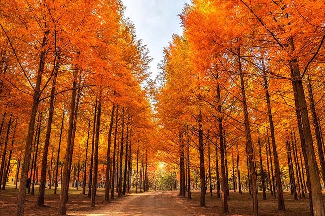 Alpaca, Nami, Petite Fr, Italian Village, Garden of Morning Calm - The Sum Up