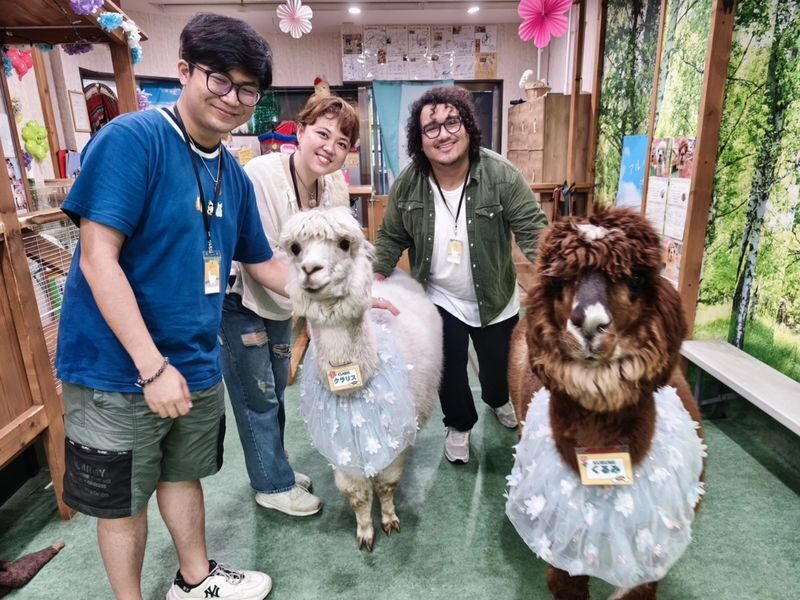 Alpaca Petting Experience in Tokyo Alpaca Petting Park - Getting to the park
