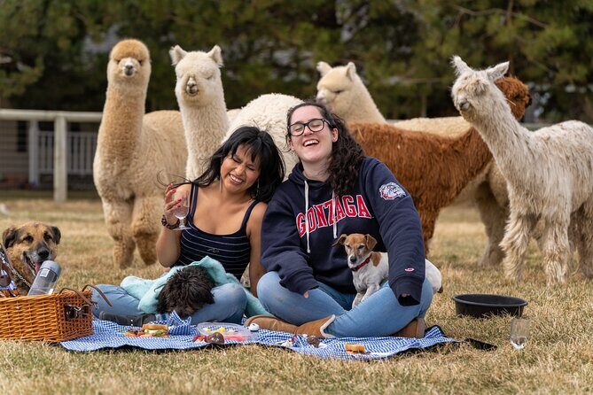 Alpaca Picnic Experience in Oregon - Good To Know