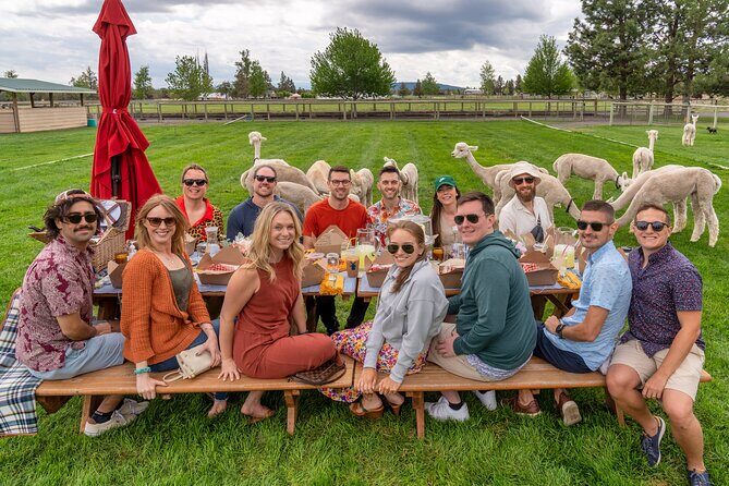 Alpaca Picnic Experience in Oregon - FAQ