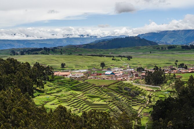 Alpaca Therapy Connect With the Inca Energy in the Sacred Valley - Exploring the Sacred Valleys Alpaca Farms