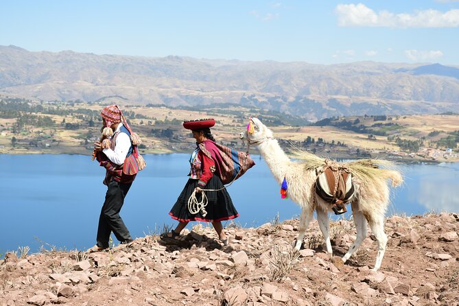 Alpaca Therapy Connect With the Inca Energy in the Sacred Valley - Alpacas as Spirit Guides: Nurturing the Mind, Body, and Soul