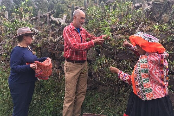 Alpaca Walk & Natural Dye Tour: A Memorable Full Day Experience - The Sum Up