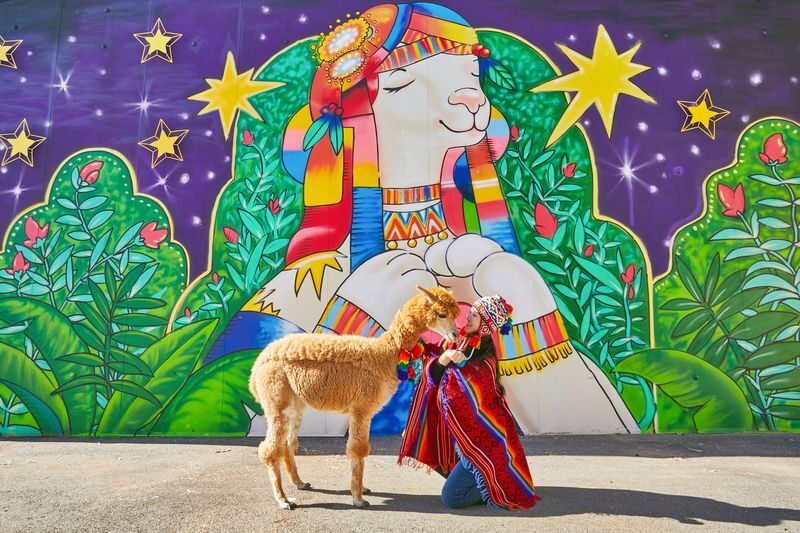 Alpaca World & Gangchon Rail Bike Full-Day Tour - What the guide adds