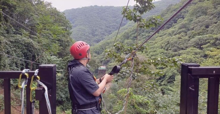 Alpaca World + Garisan FULL Course Zipwire - Key Points
