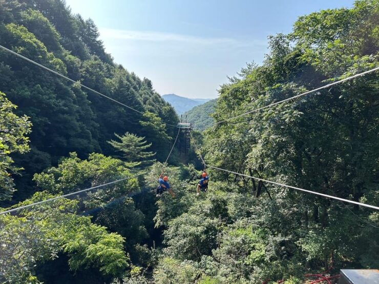 Alpaca World + Garisan FULL Course Zipwire - Location and Features