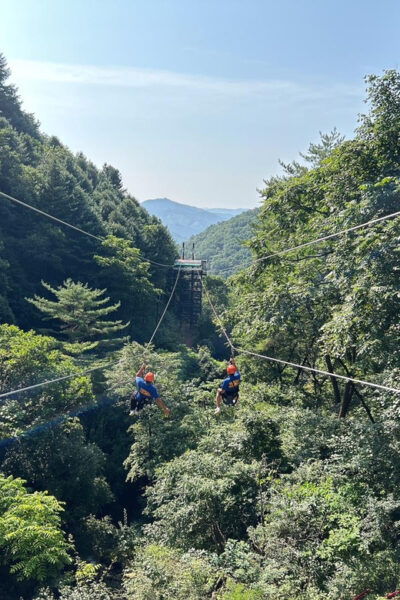 Alpaca World + Garisan FULL Course Zipwire - Questions You May Have