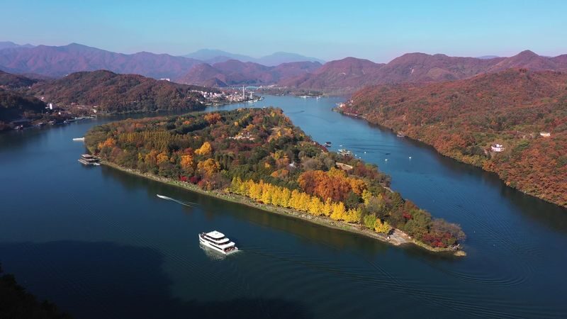 Alpaca World & Nami Island & Nearby Spots 10-Hour Private Tour - Nami Island rewards a little unhurried wandering