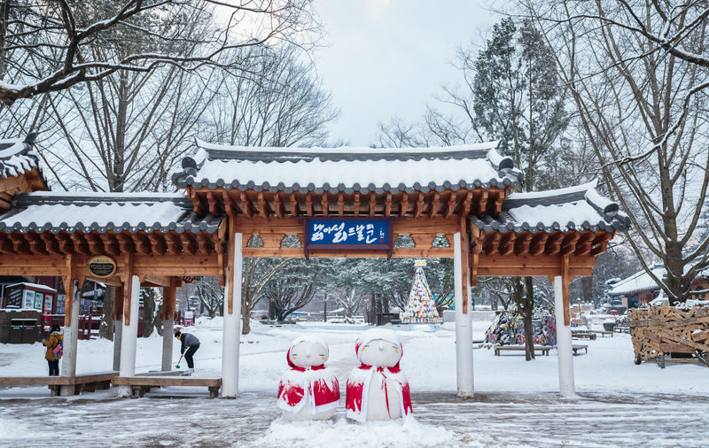 Alpaca World & Nami Island & Nearby Spots 10-Hour Private Tour - Rail bikes and villages add variety, but make the timetable tighter