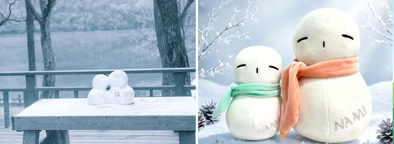 Alpaca World & Nami Island & Nearby Spots 10-Hour Private Tour - Budget for admission, meals, and a possible late return