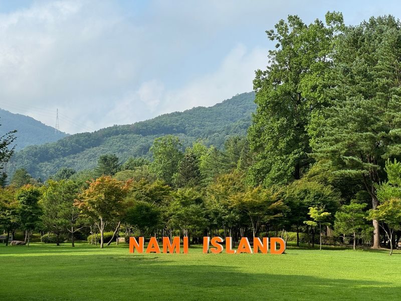 Alpaca World & Nami Island & Nearby Spots 10-Hour Private Tour - Match the vehicle to both people and luggage