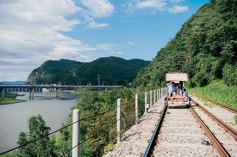 Alpaca World & Nami Island & Nearby Spots 10-Hour Private Tour - Should you book this private tour?