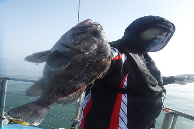 Alpaca World & Nami Island Private Tour (Min. 2 People Departure) - Inclusions and Exclusions