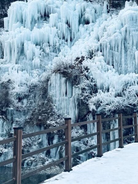 Alpaca World & Rail Bike & Chuncheon Ice Valley Waterfall - Questions You May Have