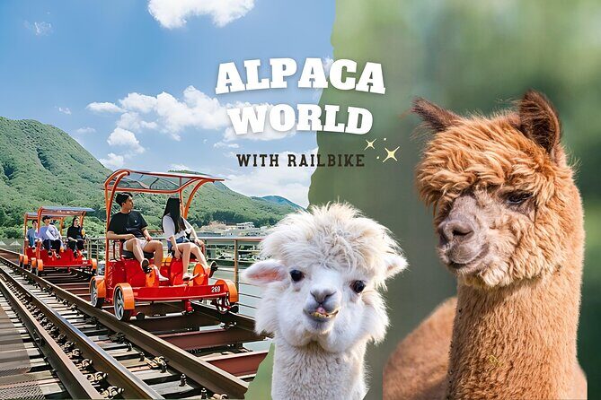 Alpaca World with Gangchon Rail Park One Day Tour - Good To Know