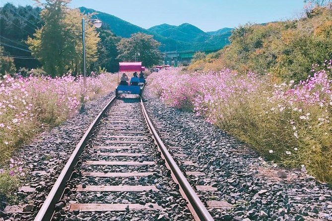 Alpaca World with Gangchon Rail Park One Day Tour - Frequently Asked Questions