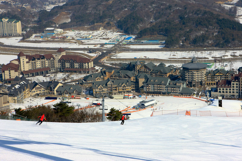 Alpensia Ski Day Tour (Departing from Seoul) - Should you book it?