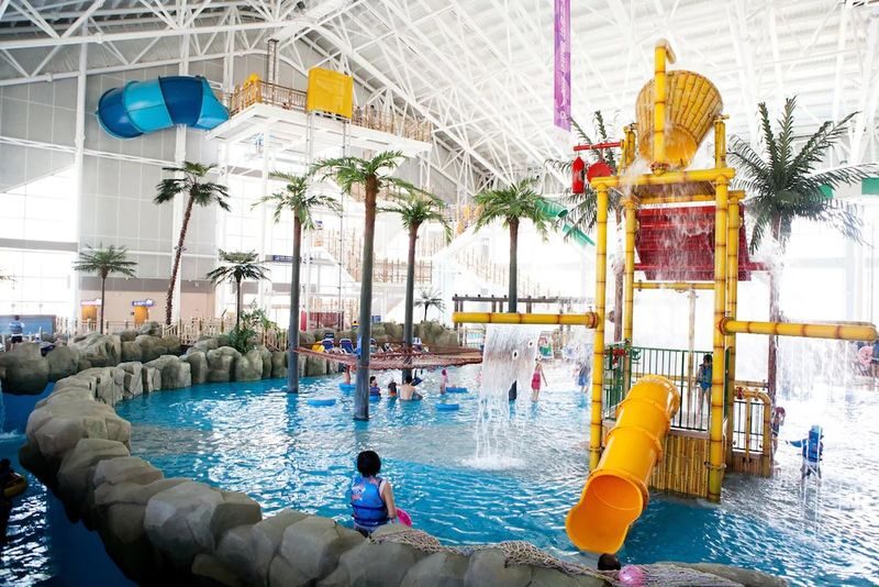 Alpensia Ski Resort All Inclusive 3D2N Tour from Seoul - Who should book this Alpensia trip?