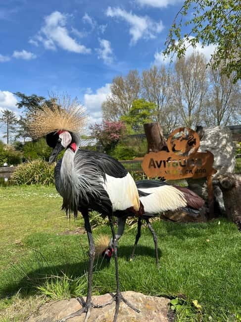 Alphen aan den Rijn: Avifauna Bird Park Entry Ticket - Final Thoughts