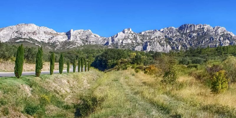 Alpilles: Discover vineyards and farms by electric bike - Good To Know