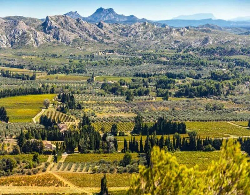 Alpilles: Discover vineyards and farms by electric bike - Exploring Provence Differently: The Experience