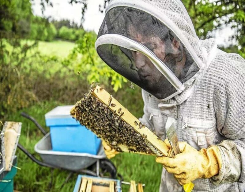 Alpilles: Discover vineyards and farms by electric bike - Frequently Asked Questions