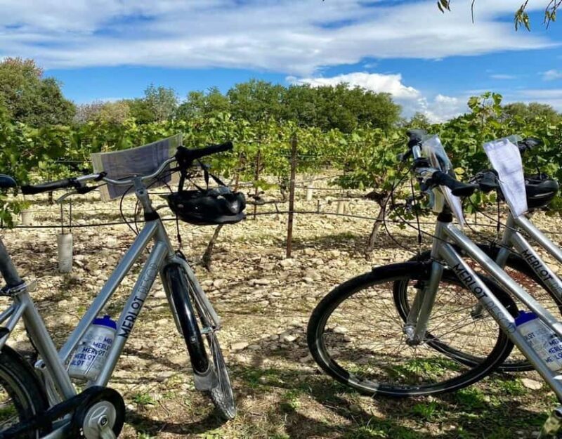 Alpilles: Discover vineyards and farms by electric bike - What’s Special About the Experience?