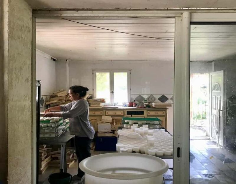 Alpilles: Discover vineyards and farms by electric bike - The Itinerary: What to Expect