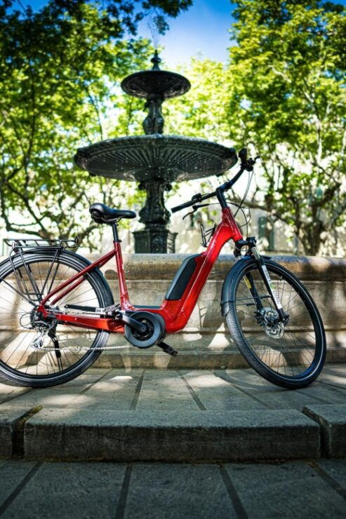 Alpilles: E-Bike Ride With a Wine Tasting - Activity Overview