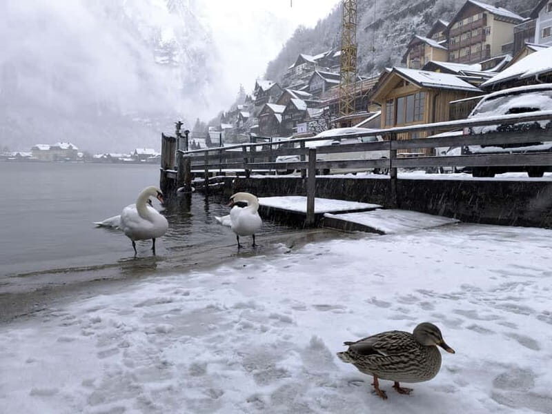 Alpine Beauty & Fairytale Towns: Hallstatt & Salzburg Tour - The Road to Salzburg: Mountain Views & Cultural Gems