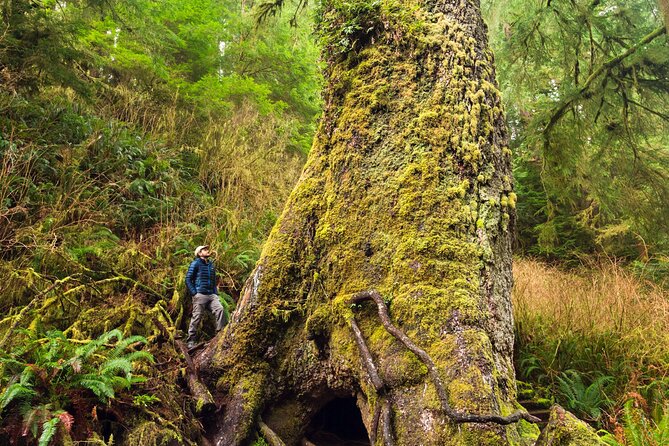 Alpine Cliff Camping 1000ft Off the Ground in Index WA - Inclusions and Equipment Provided