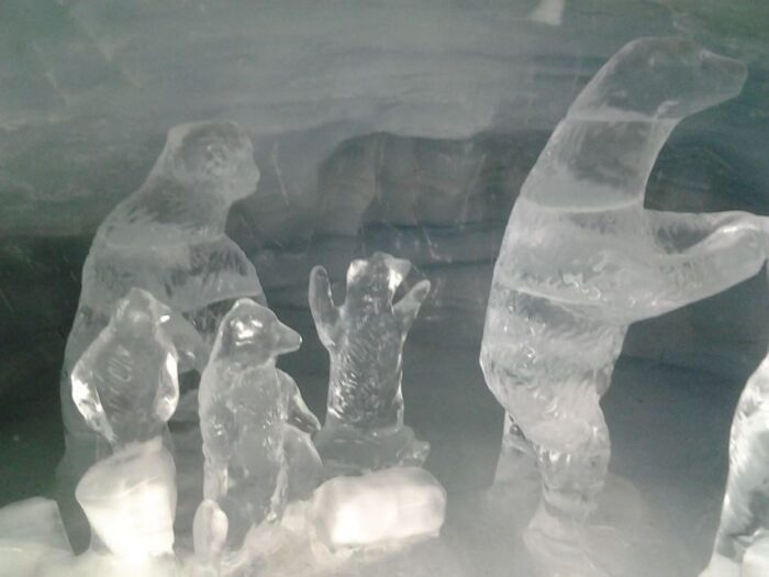 Alpine Majesty: Bern to Jungfraujoch Exclusive Private Tour - Discover the Ice Palace