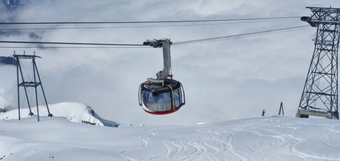 Alpine Majesty: Private Tour to Mount Titlis From Basel - What to Expect on the Tour
