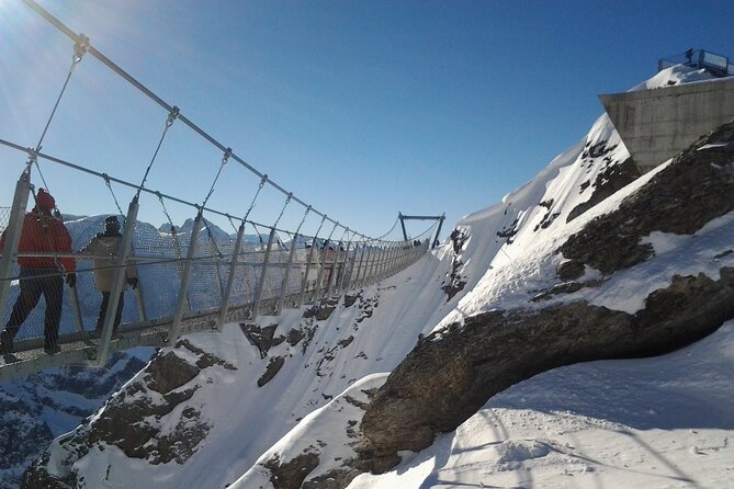 Alpine Majesty:Exclusive Private Tour to Mount Titlis From Zürich - Pricing and Details